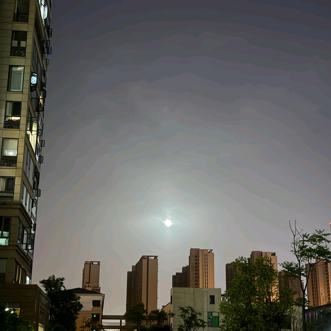 今天开心来摸鱼