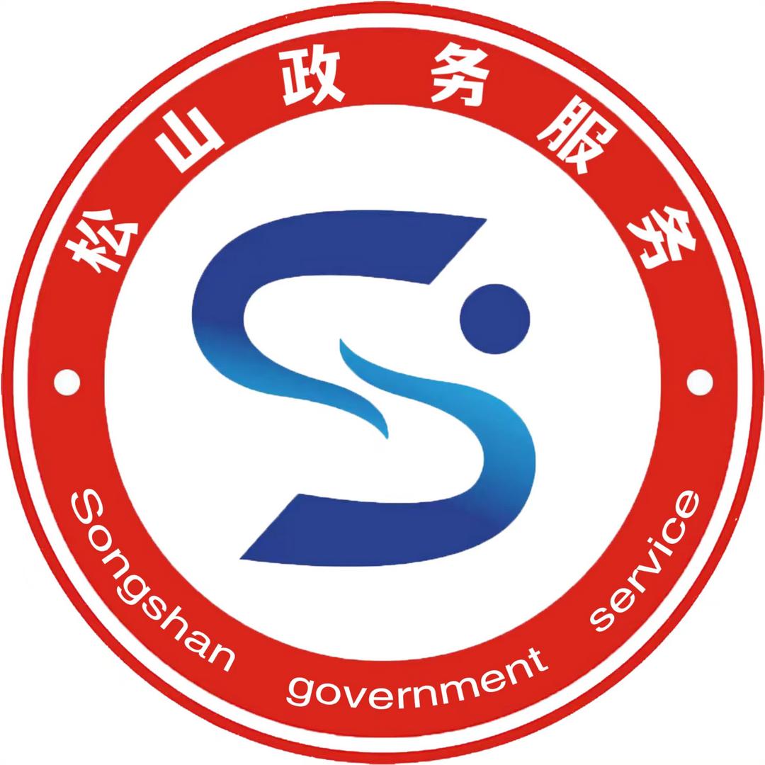 松山政务服务