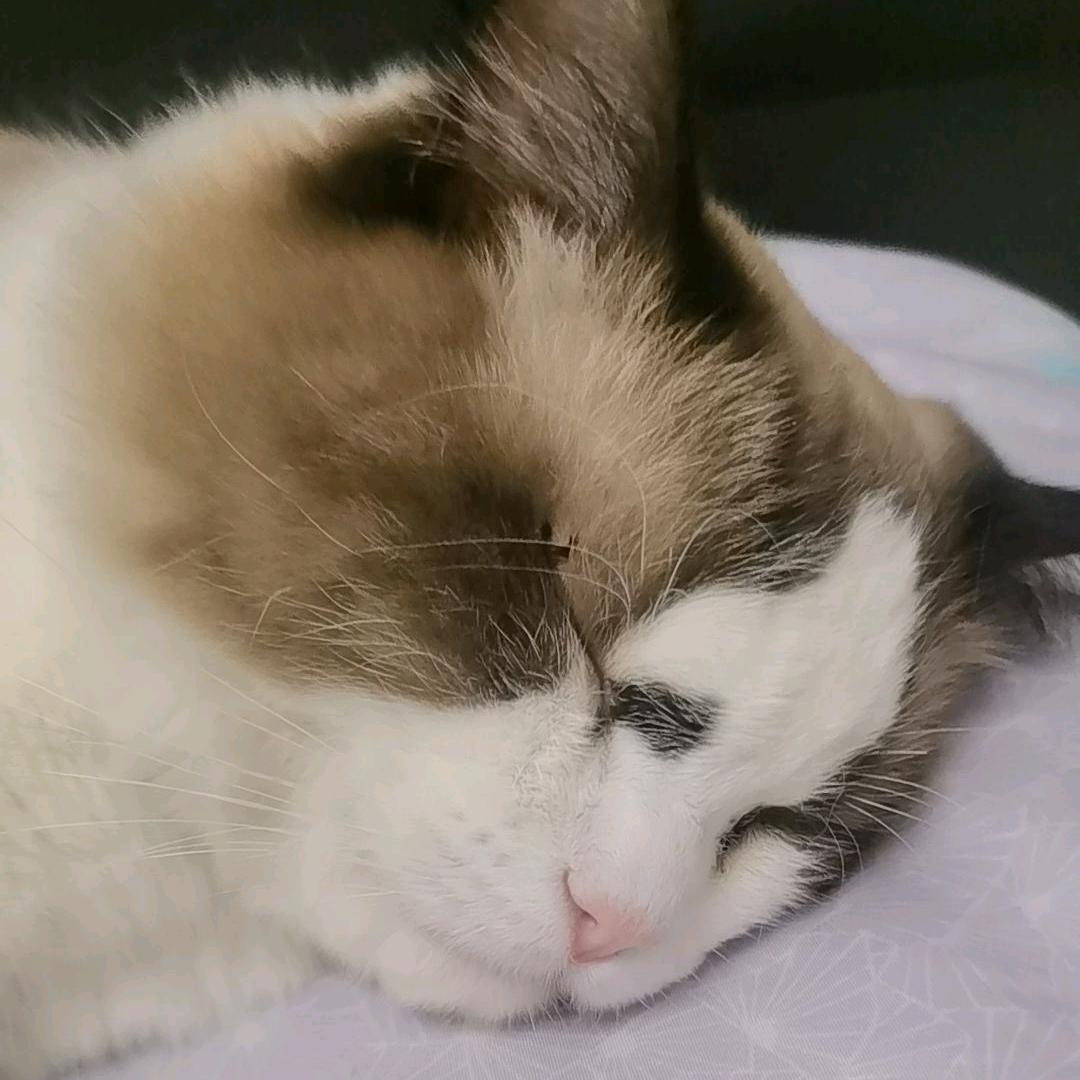 不起名字可不可以