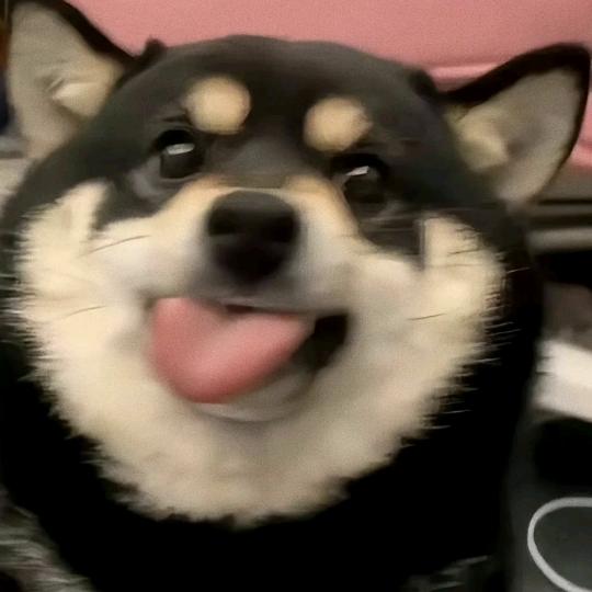 足智多谋智多星