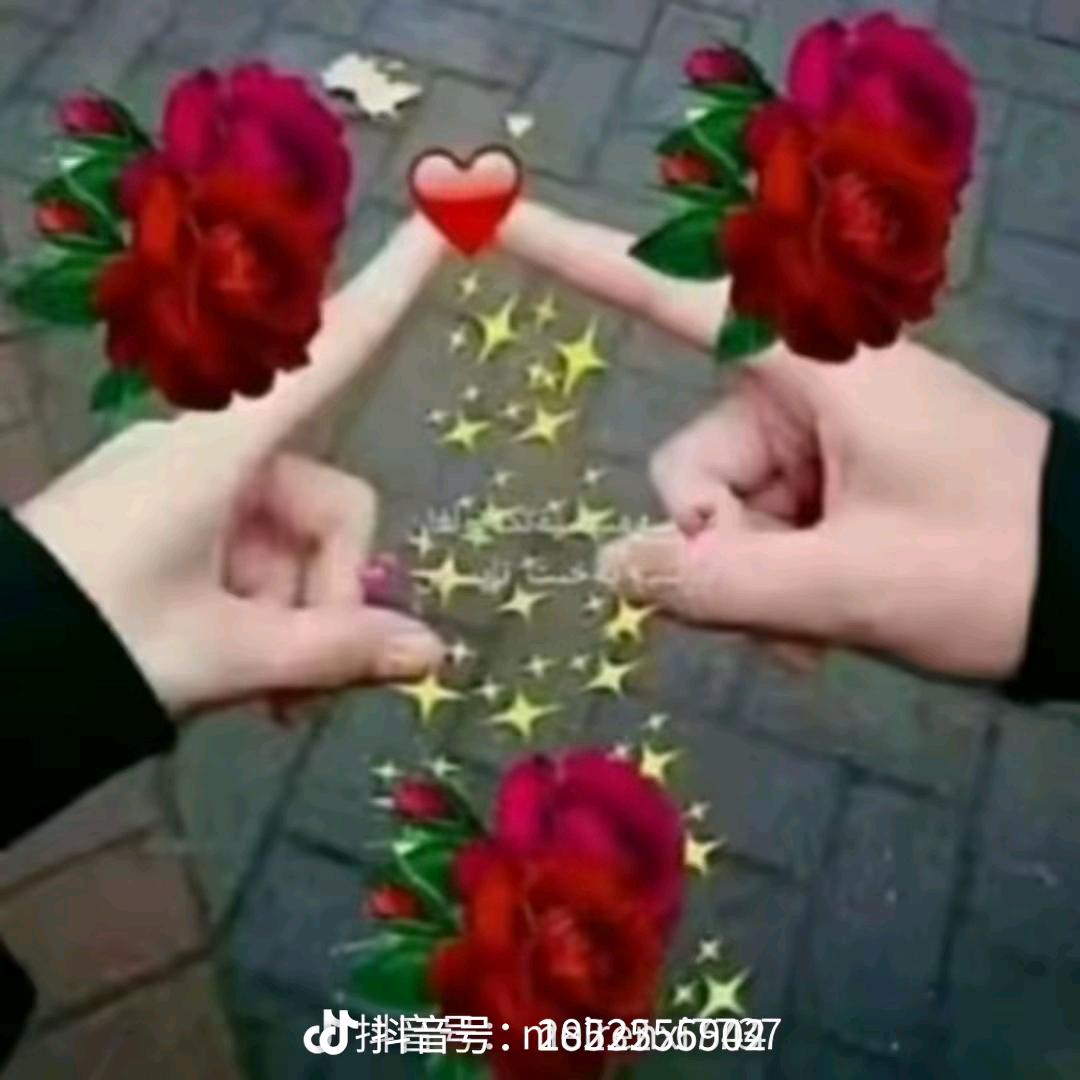 🇨🇳🇨🇳🇨🇳🇨🇳💚🇦