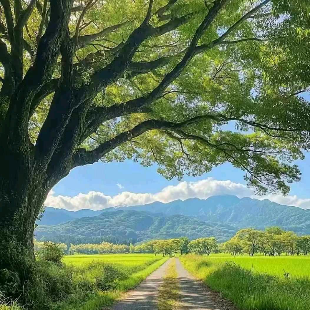 ✨忆苦思甜✨✨