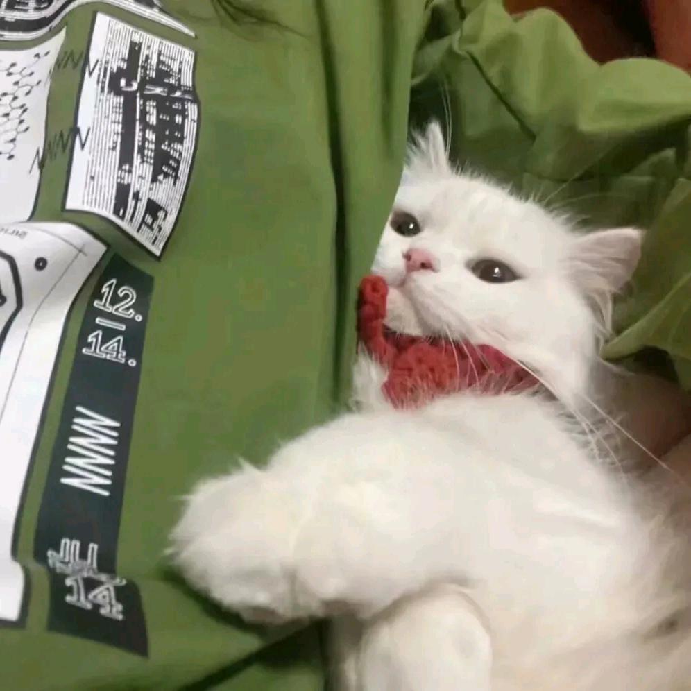 恕瑞玛第一深情