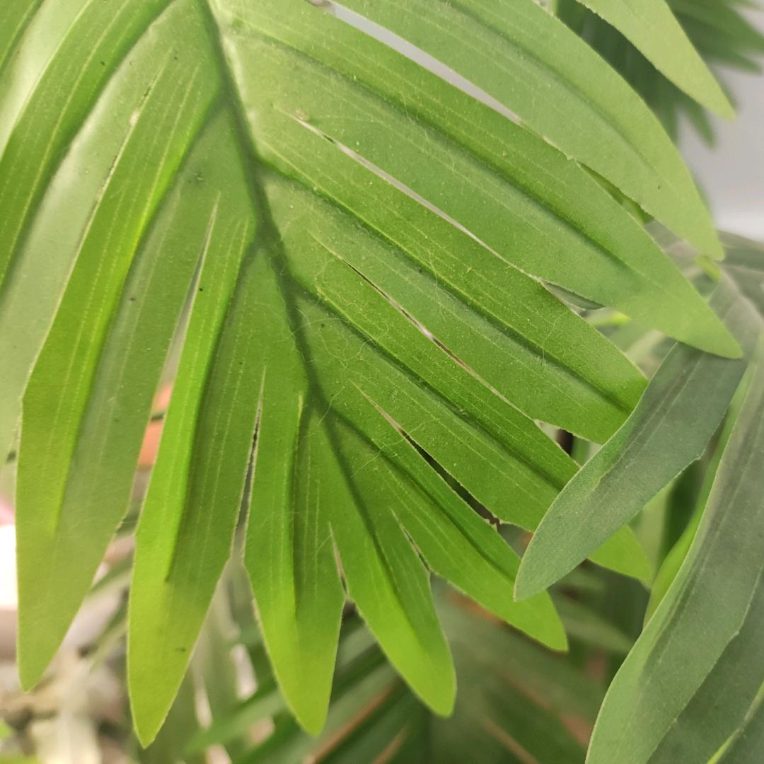 花好月圆