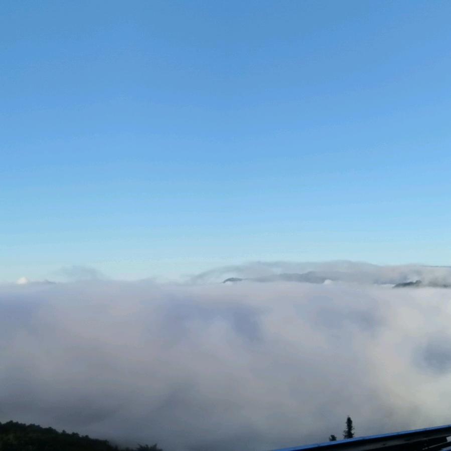 。。。。、，。