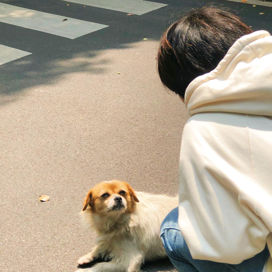 滋滋丸