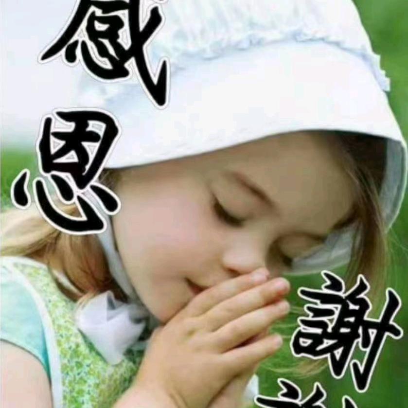 珠珠