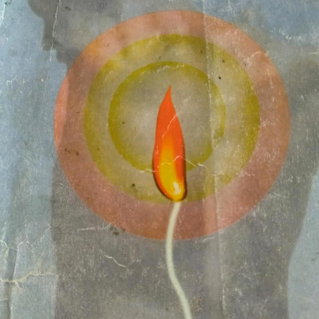 夏芝兰
