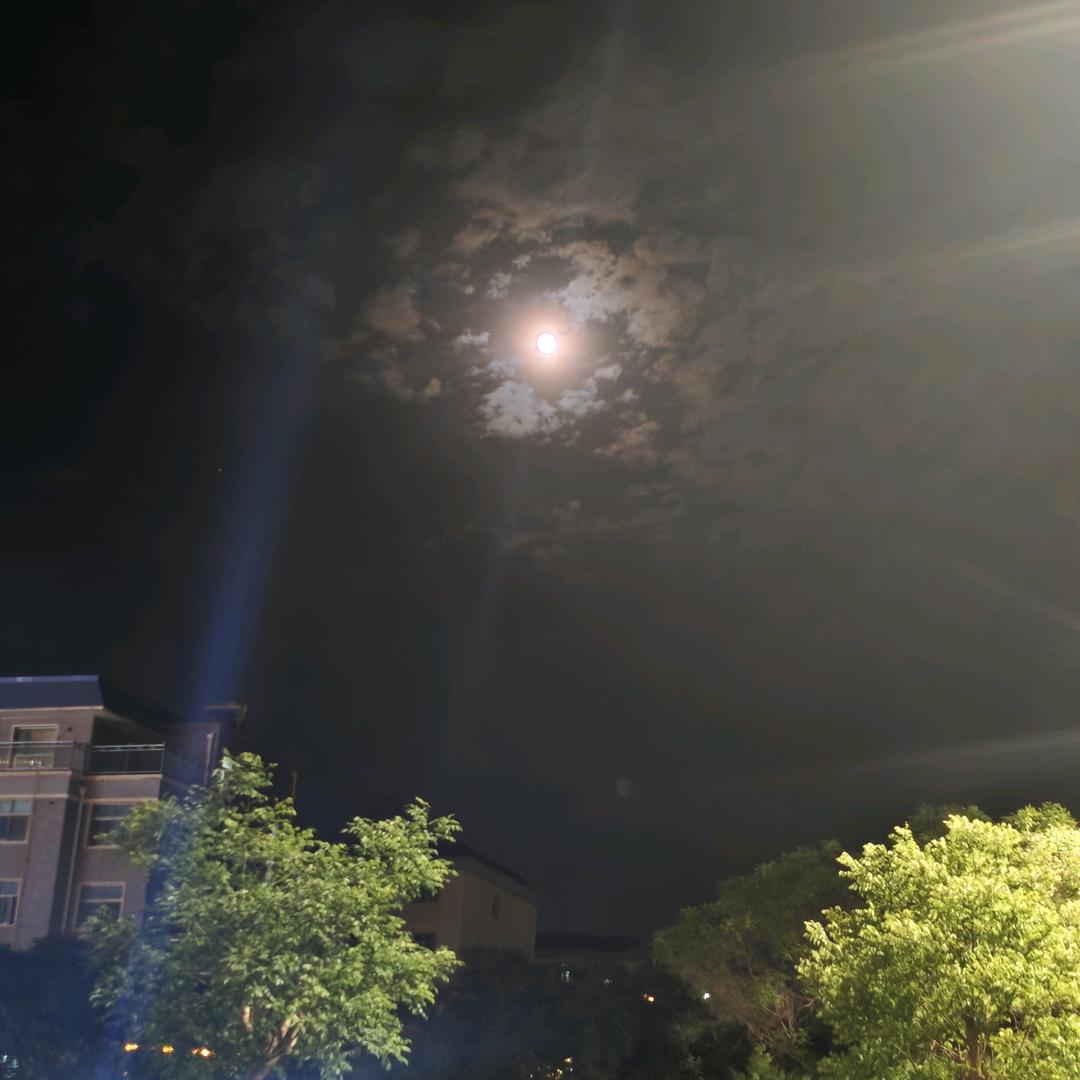 盛夏的果实