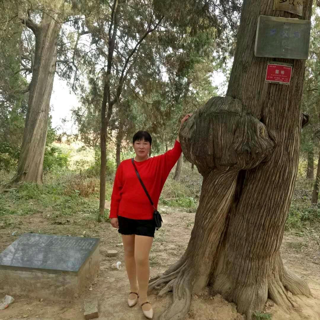 平平安安，健健康康，，，请不要连赞