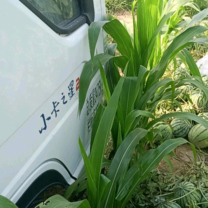 霸气人生