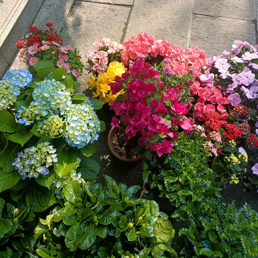 新泰一加一英语