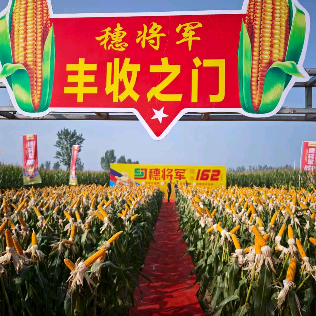 顺禾农业企业店助农丰收