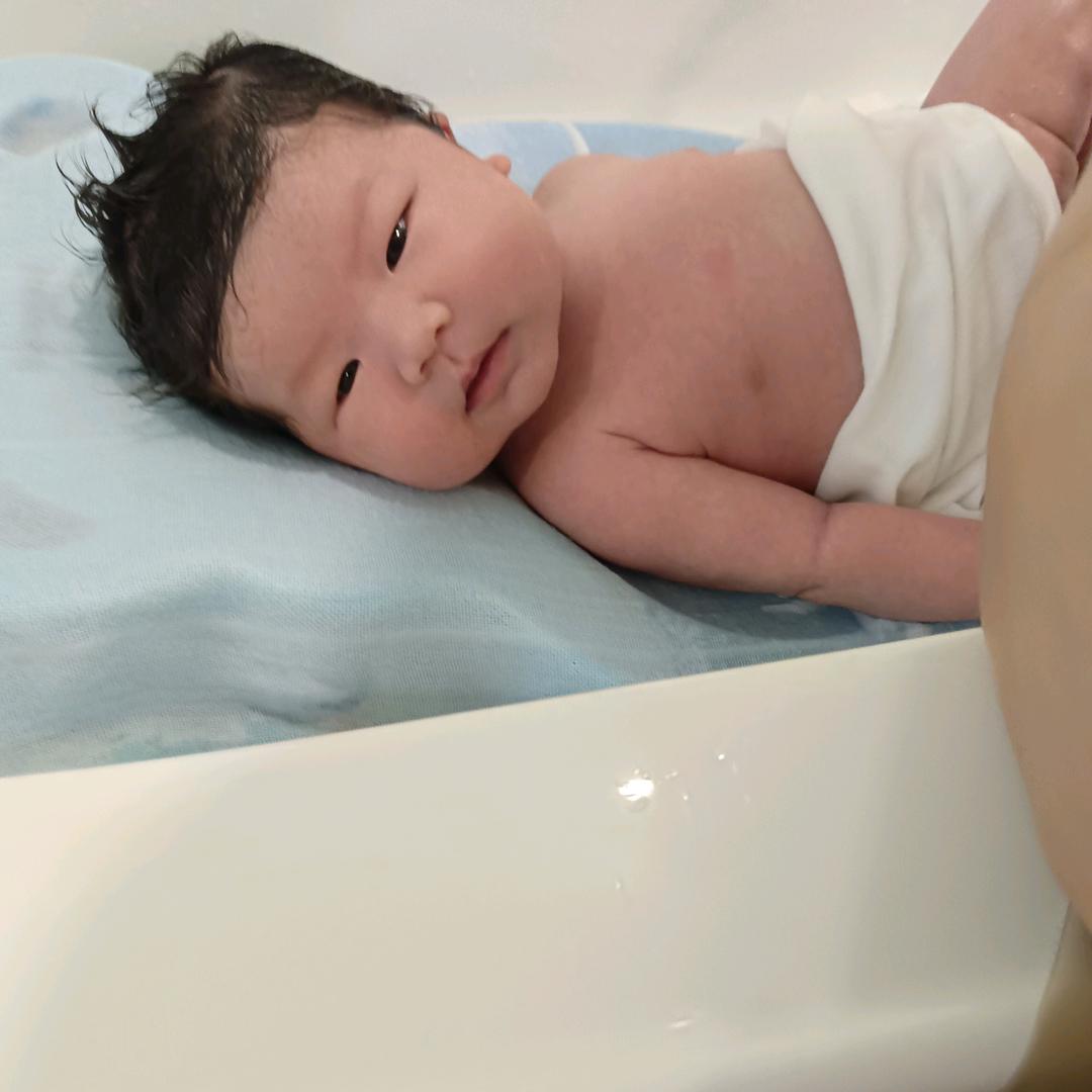 晨晨的奶奶，田姐，75年四月兔