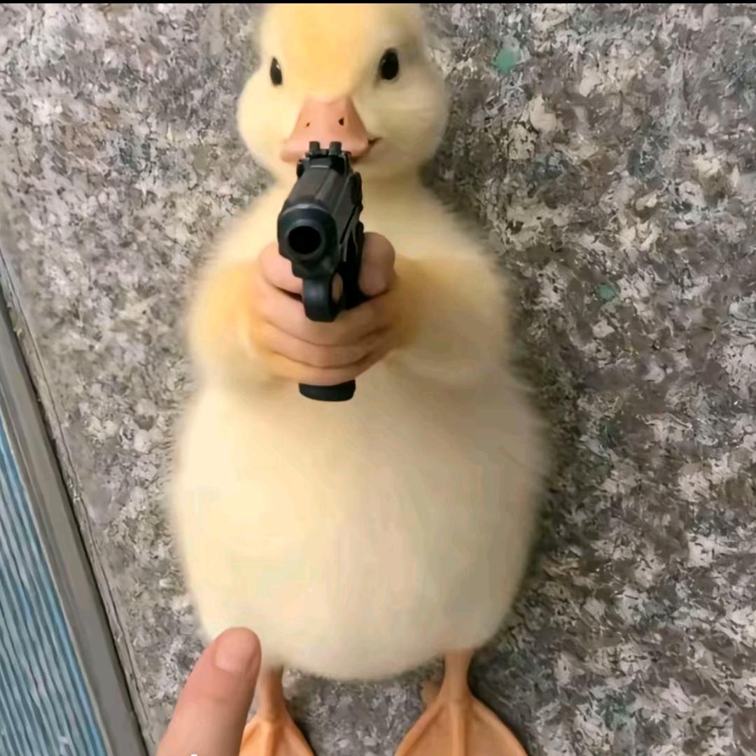 哆啦梦A