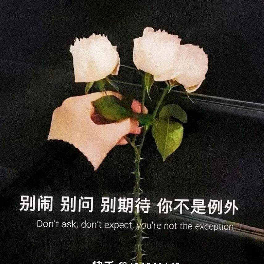 小泡芙❦