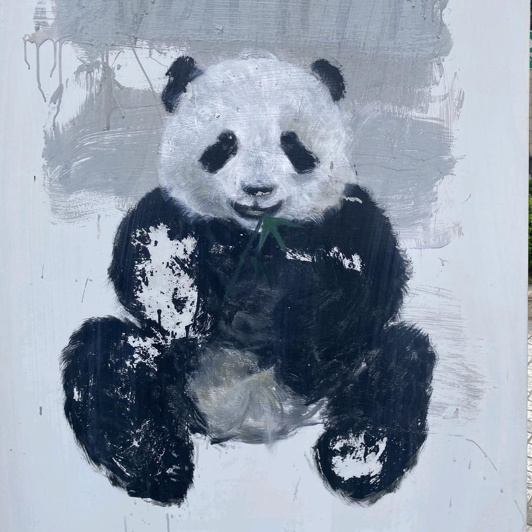 小马过河