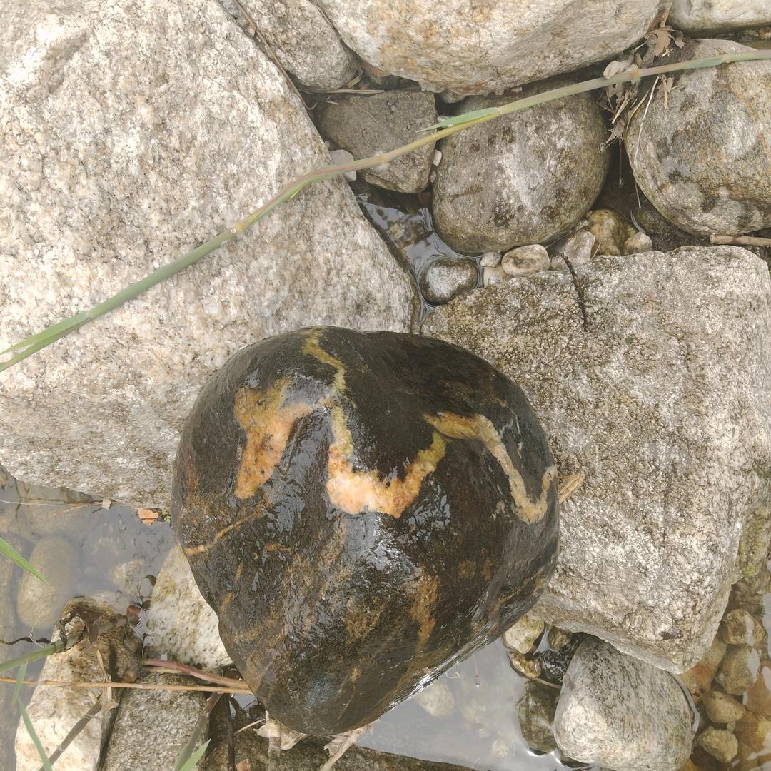 石来运转
