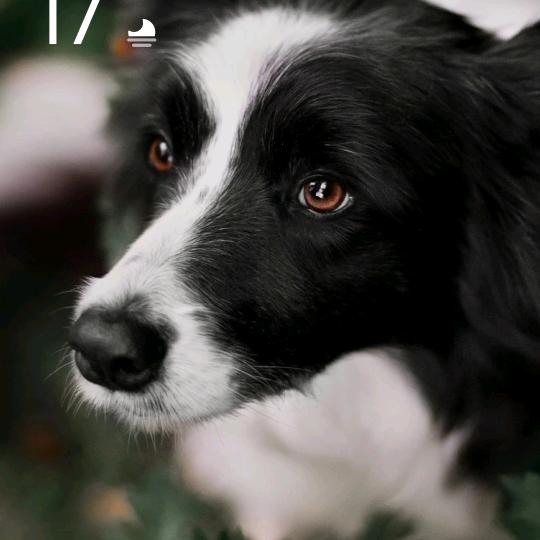 拐拐姨农品优选峰娃