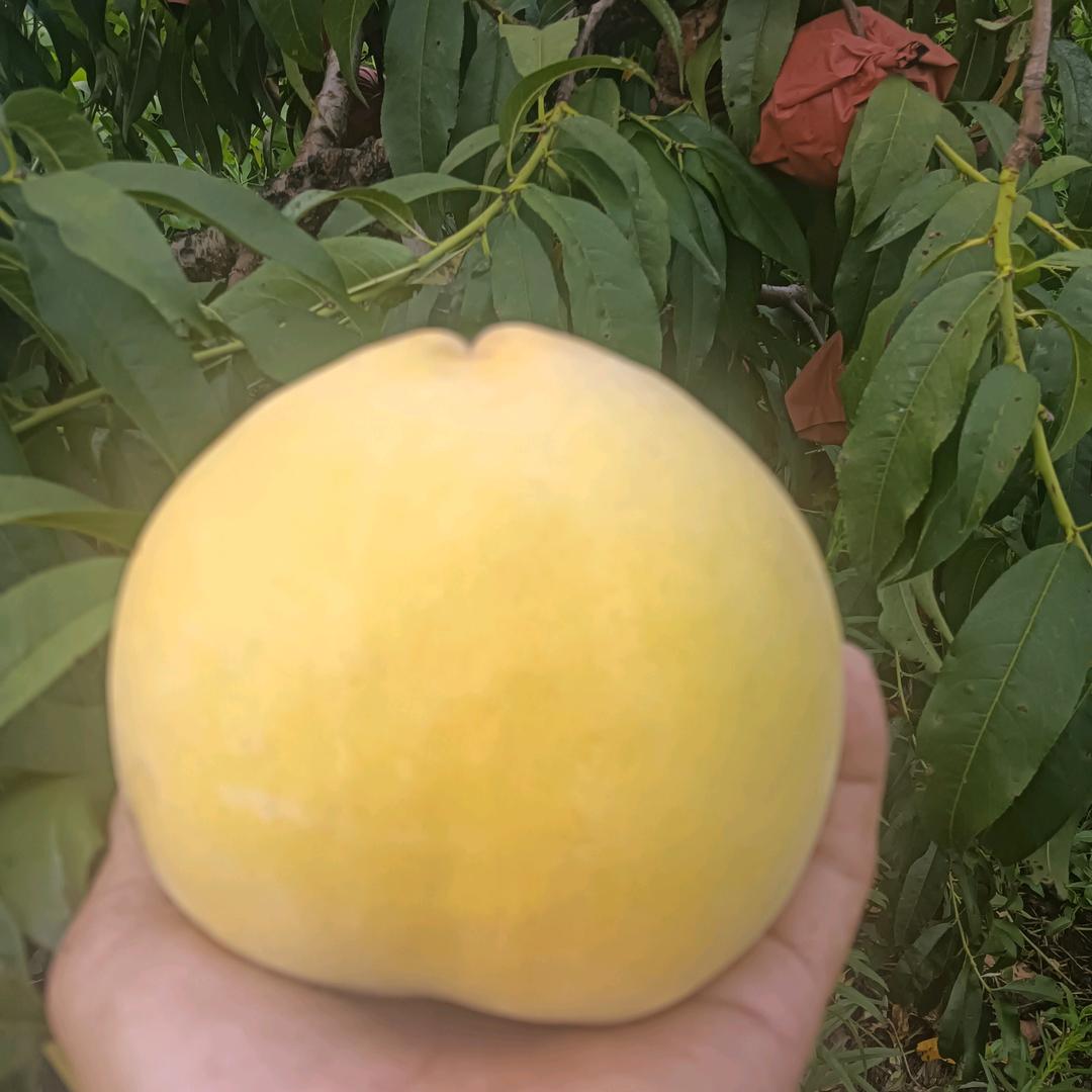 &阿牛&