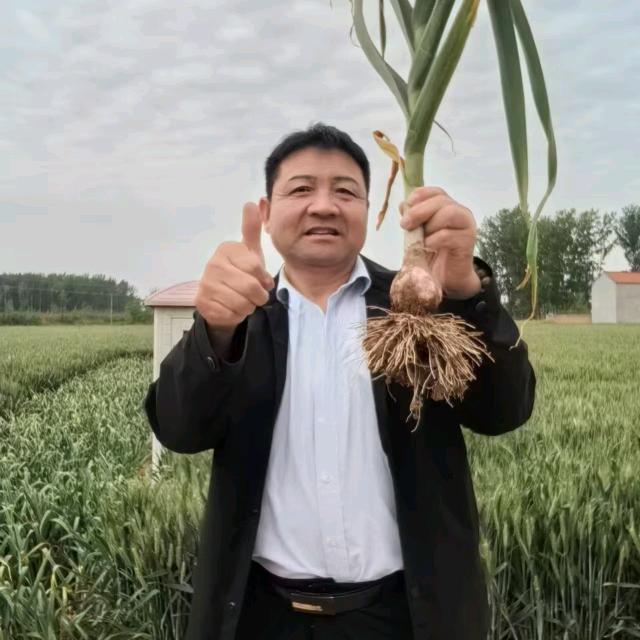 睢县皇台庄稼植保