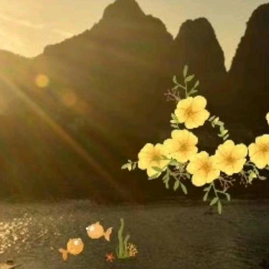 澳州花豹，河南，劉，殿，字辈