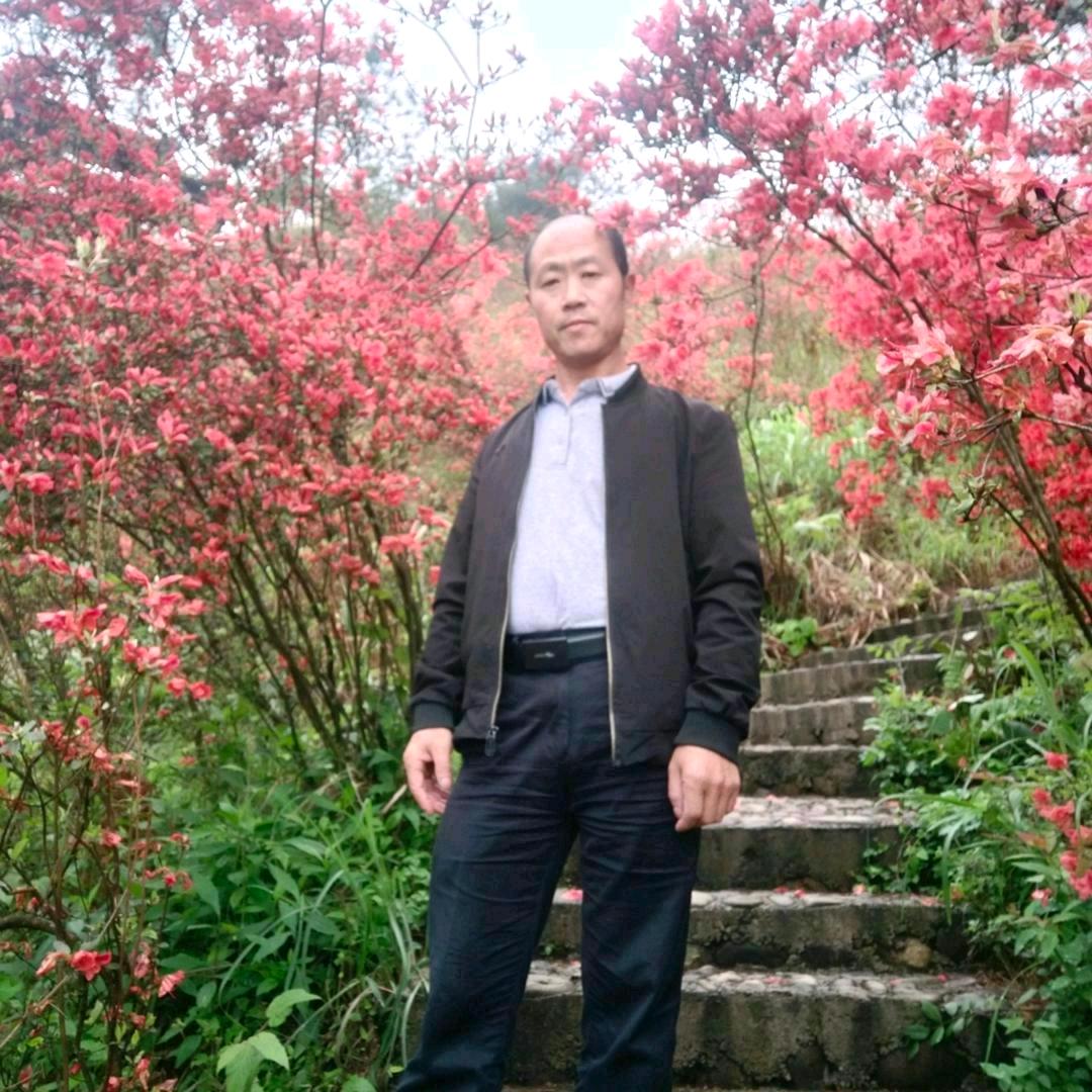 一生不强求 强求不幸福