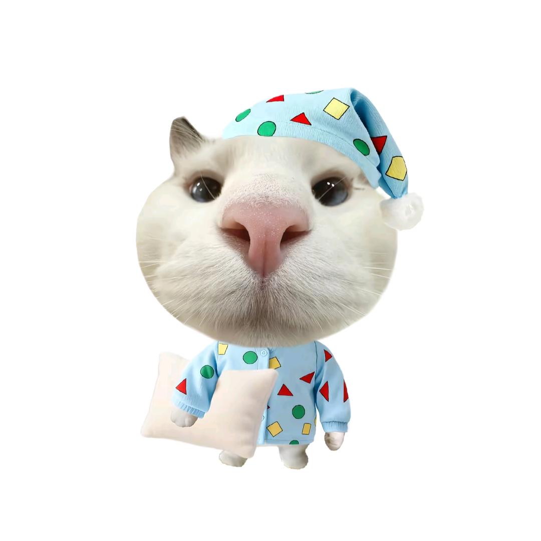 🍚🍚🍚🍚🍚🍚🍚🍚🍚🍚