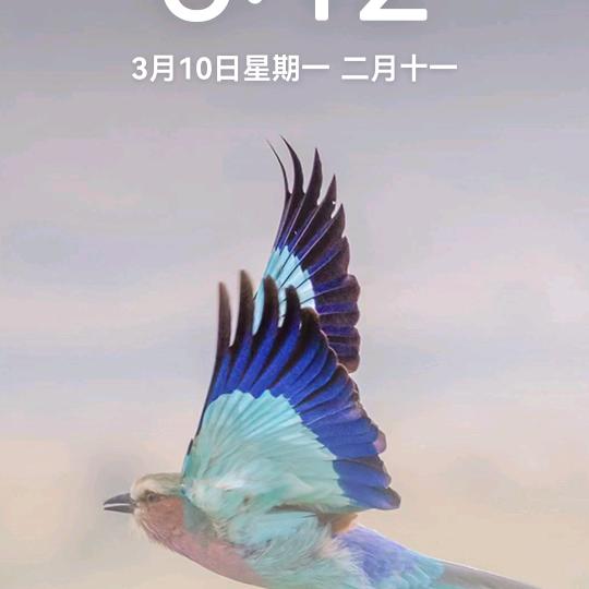 正在