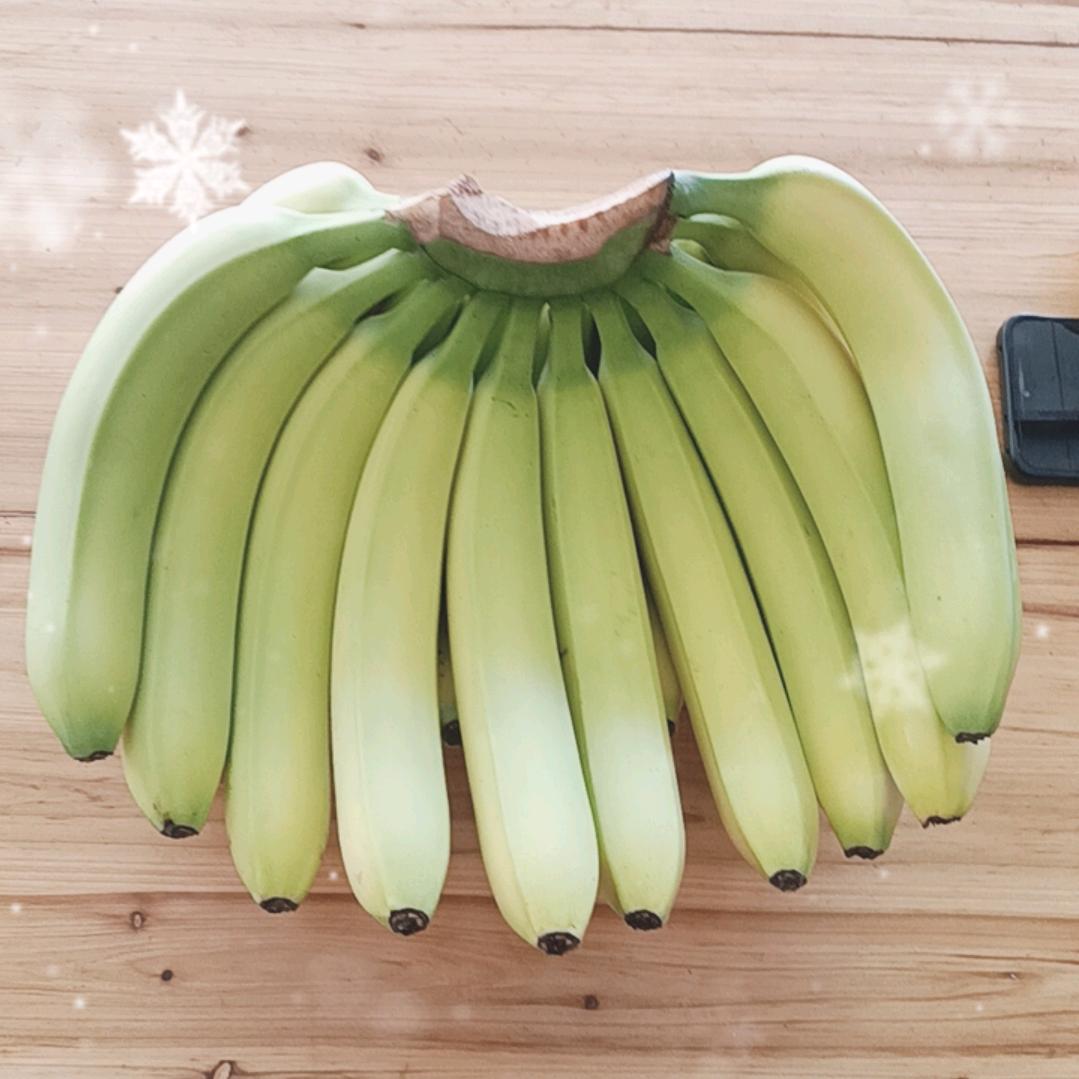 大自然的搬运工