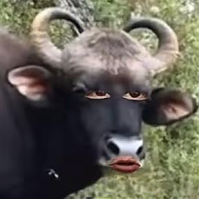 豆不Q℡