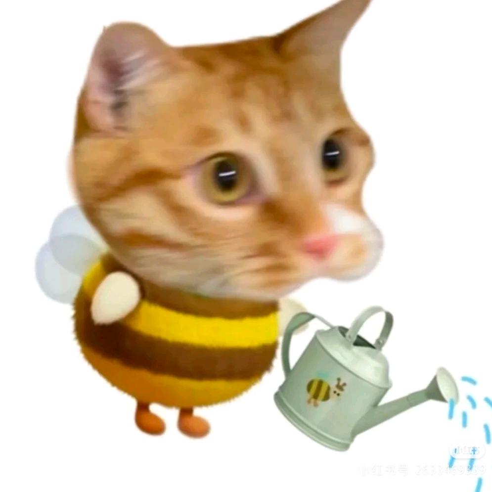 起司塔
