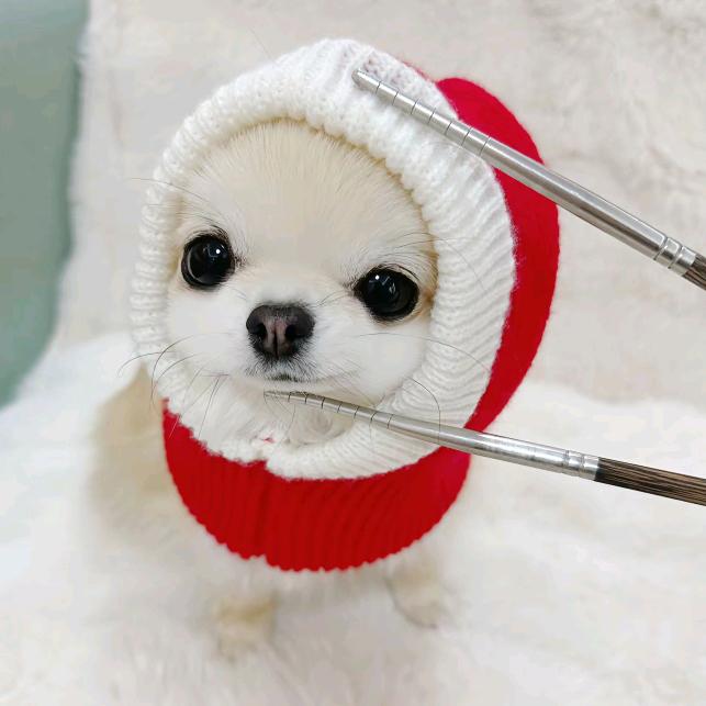 阿准（求推荐版）