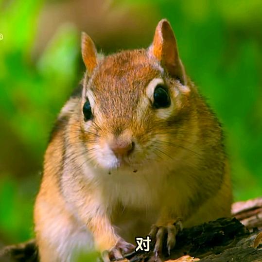 备