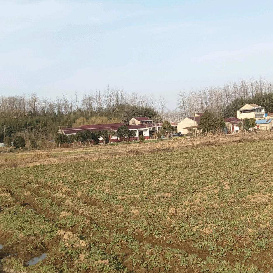 一路平安