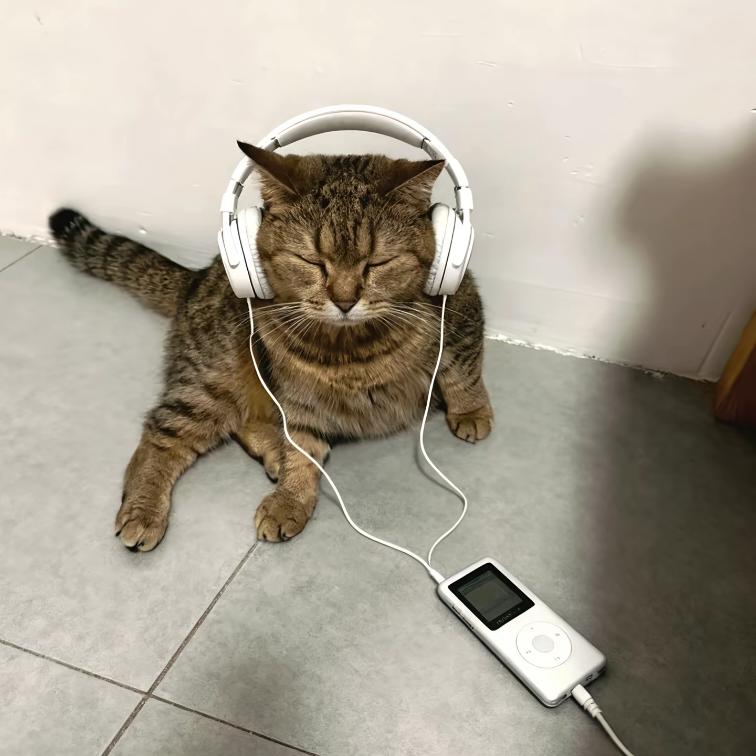 我想鲨人.