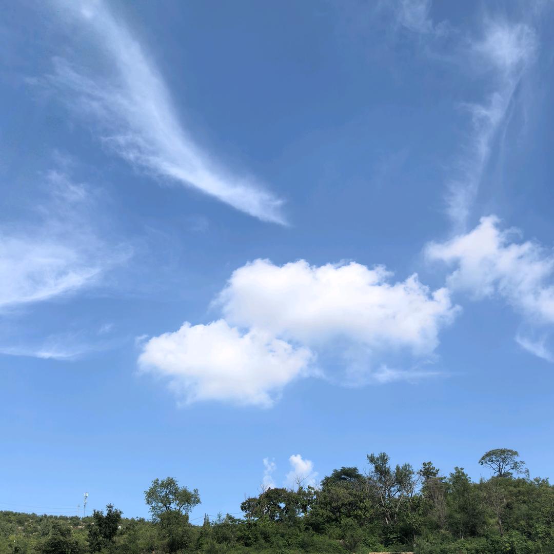 ღ˘笑敬๑过往๑۶