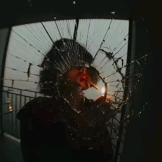 皆為人間客·