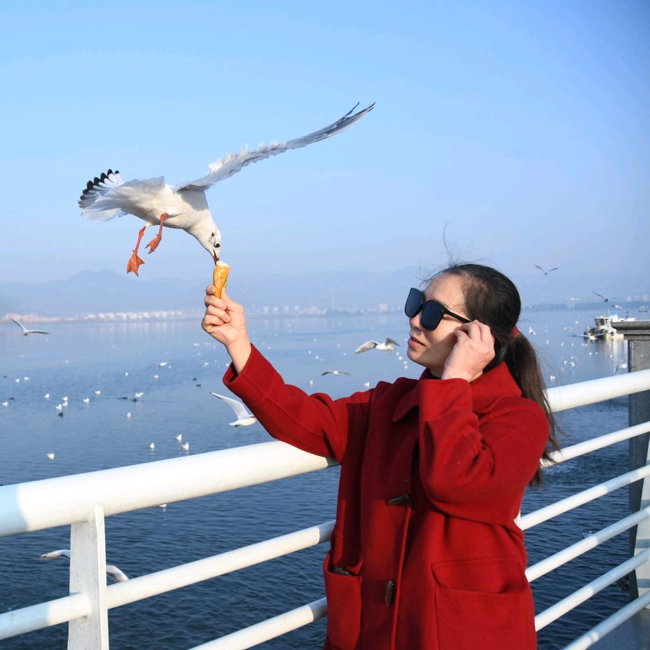 女人不疯难以成功