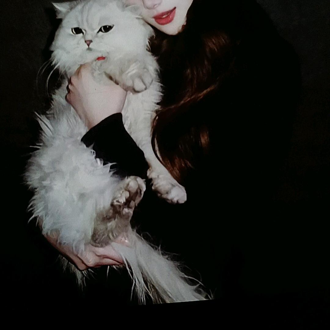 每日半小时，到点就下班