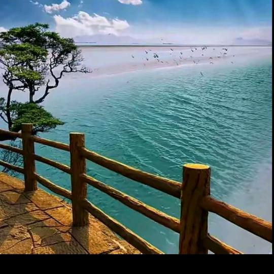 校尉✨🅵⁵¹⁵