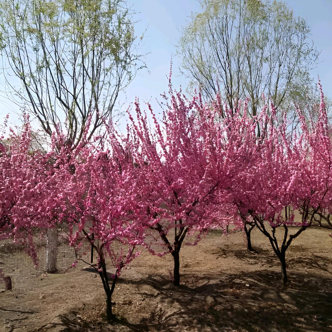 拾悦拾玖