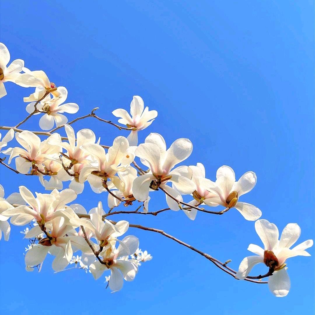 莪的心°谢绝访问