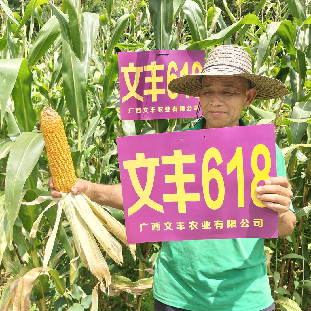 团结村-伍光斌