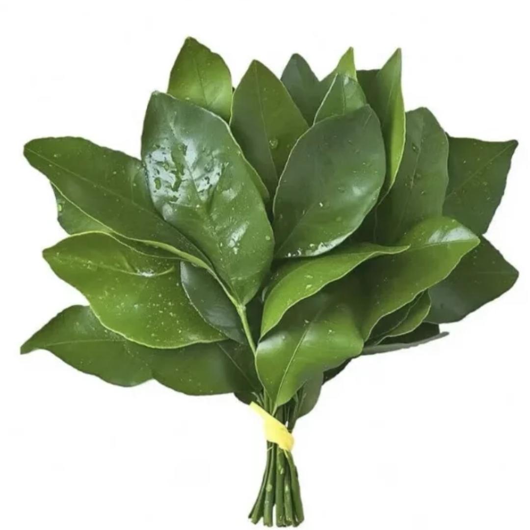 🎧莓有烦恼💮