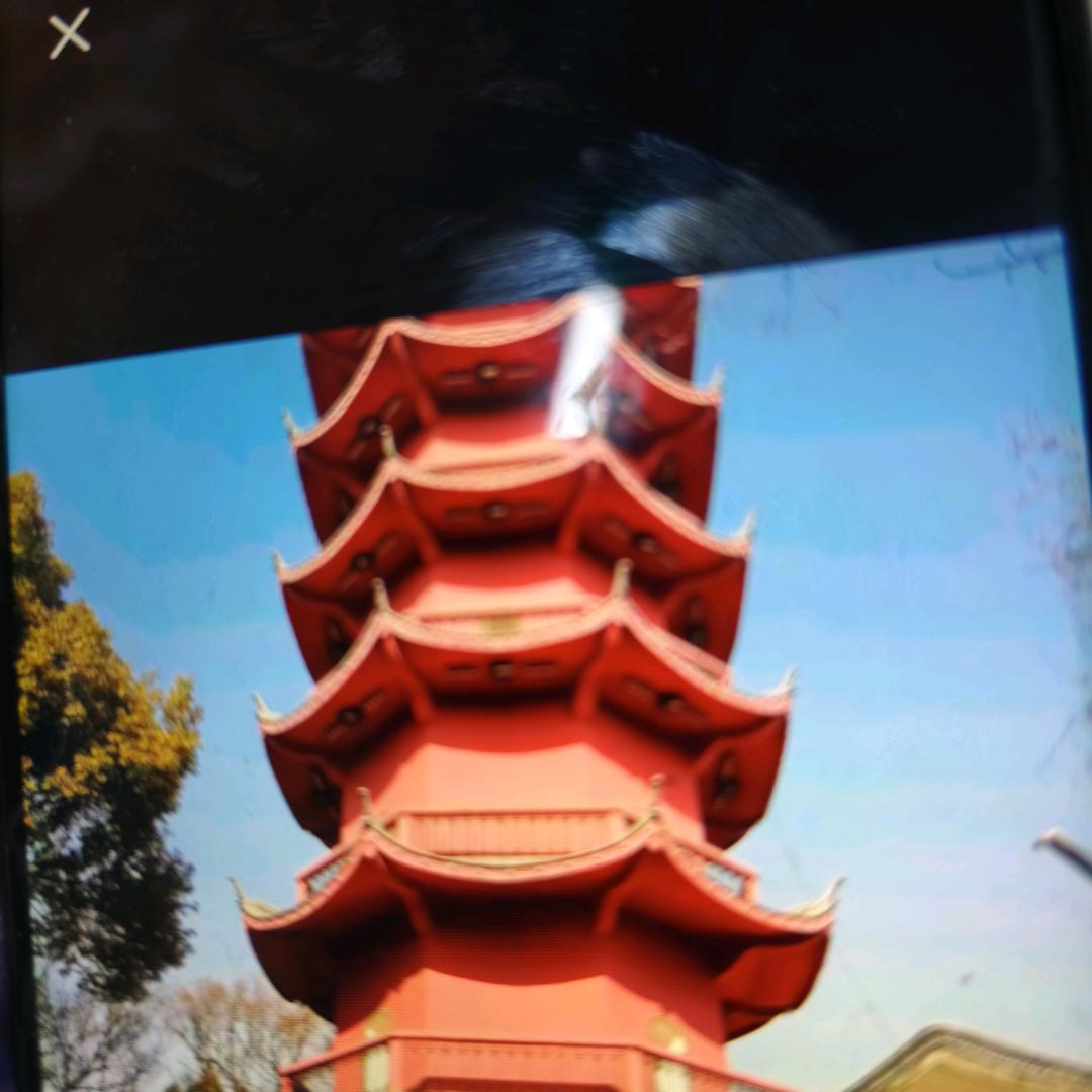山东木工