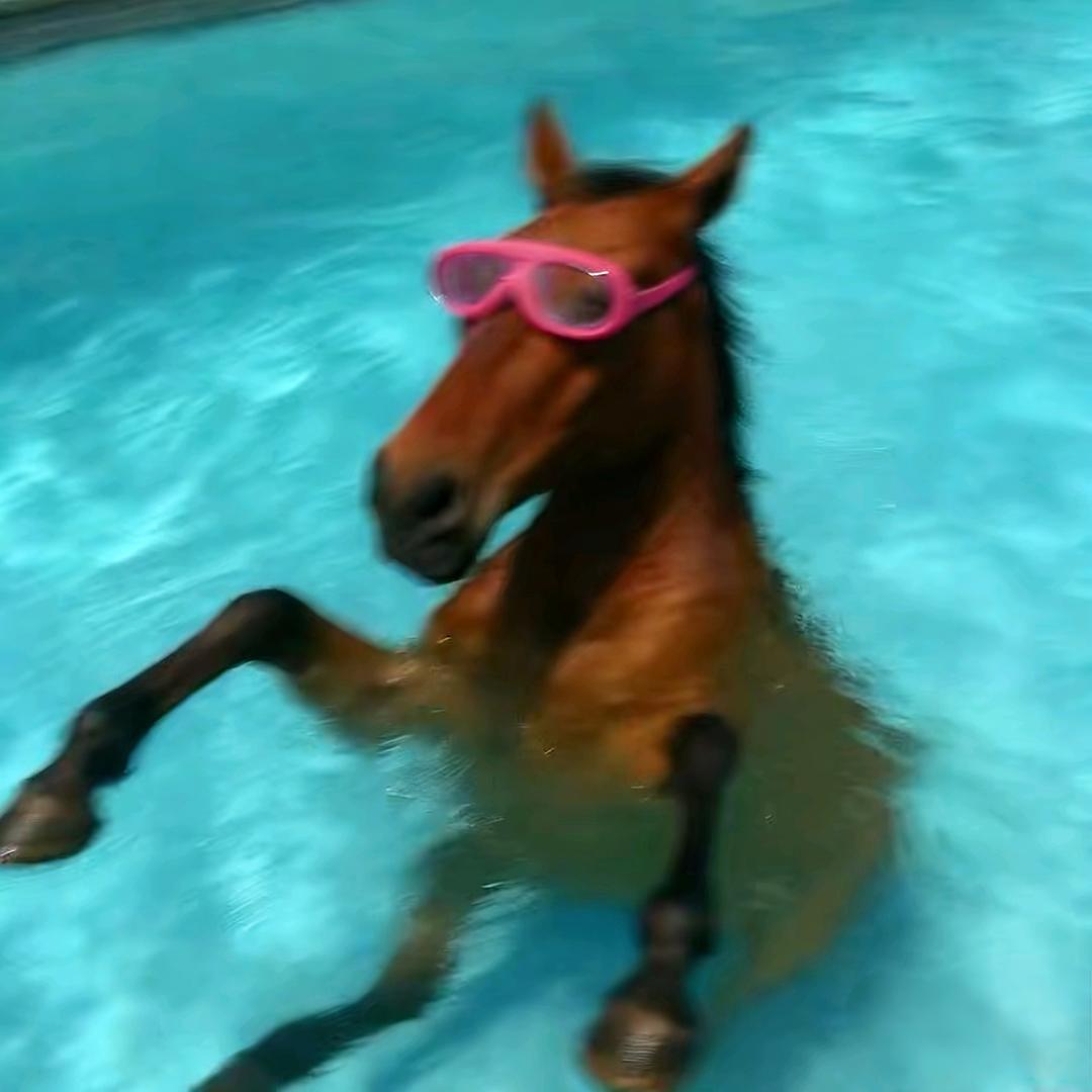 松枝月ꉂ ᳐˶ᵒ ᵕ ˂˶ ᳐ฅ