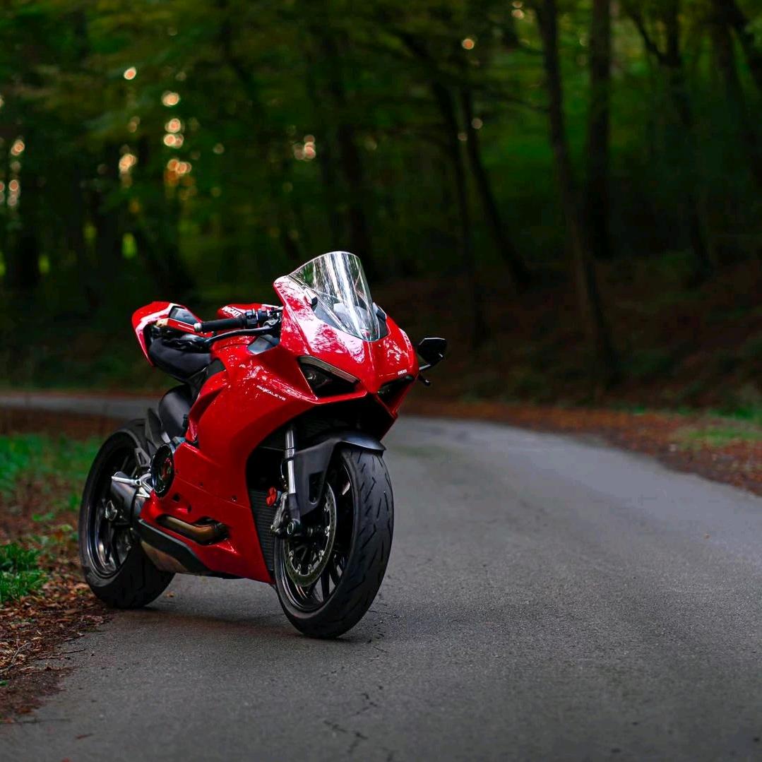 皮蛋瘦肉周 ^_^♪