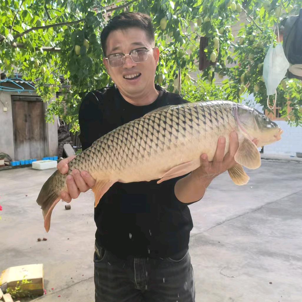 宜川佳佳（小白爱钓鱼）