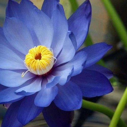 有间书肆·经典共读